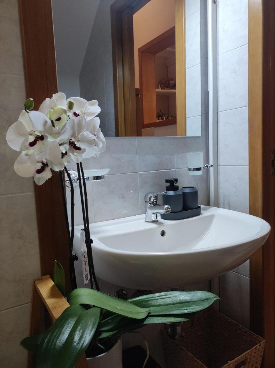 Casa Vacanza Gallipoli Centro Εξωτερικό φωτογραφία